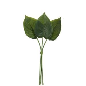 3 okrasné listy Philodendron I - 30cm J-Line by Jolipa
