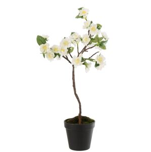 Dekorace umělý bílý kvetoucí stromek - 24-24*52 cm J-Line by Jolipa