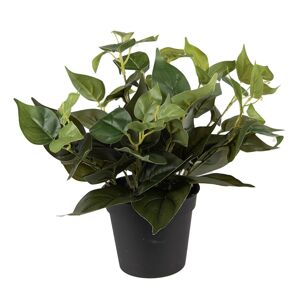 Dekorační zelená umělá rostlina - 29*29*33 cm Clayre & Eef
