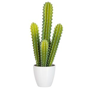 Okrasný kaktus v květináči - 20*15*50cm J-Line by Jolipa