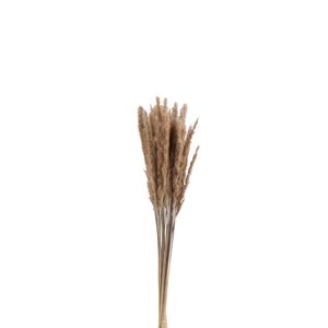 Svazek sušené trávy hnědé - 9*9*82 cm J-Line by Jolipa