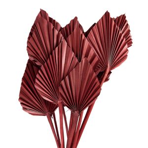 Vínová kytice sušené palmové listy - 55 cm (12ks) Clayre & Eef